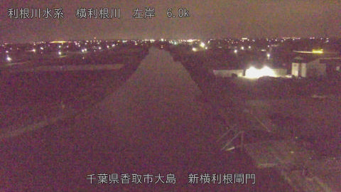 yoko2026040702_image