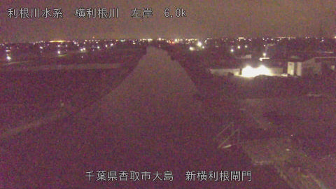 yoko2026040704_image