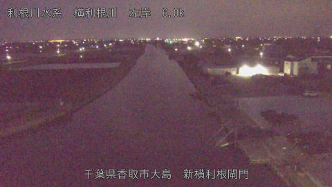 yoko2026040705_image