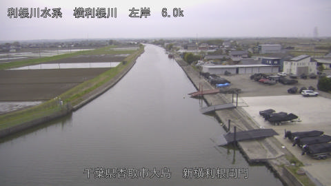 yoko2026040706_image