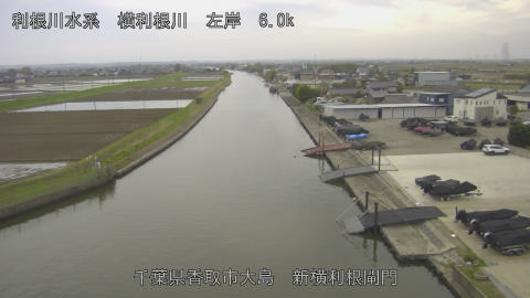 yoko2026040707_image