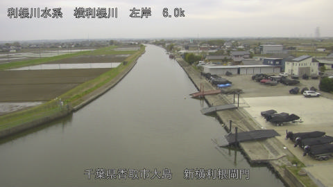 yoko2026040708_image