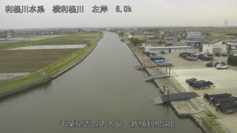 yoko2026040709_image