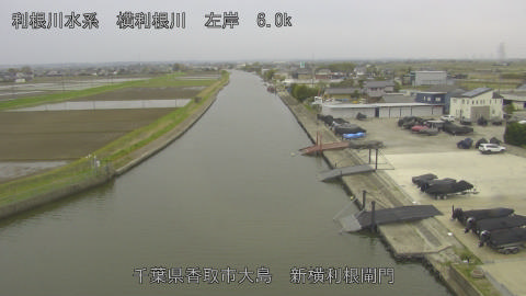 yoko2026040710_image