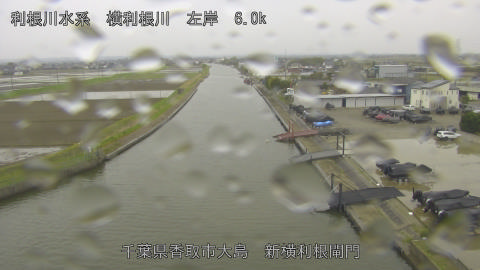 yoko2026040711_image