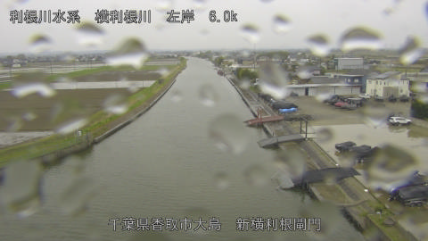 yoko2026040712_image