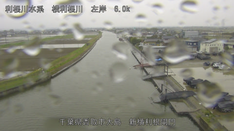 yoko2026040713_image