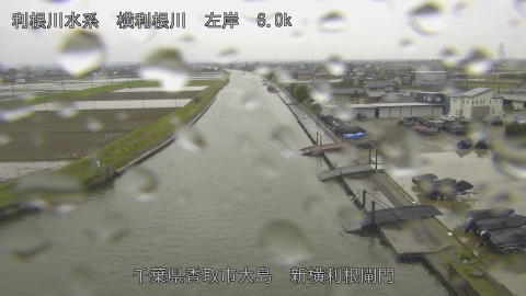 yoko2026040714_image