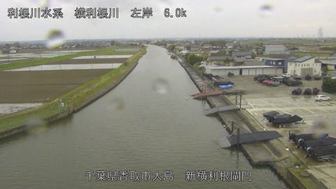 yoko2026040715_image