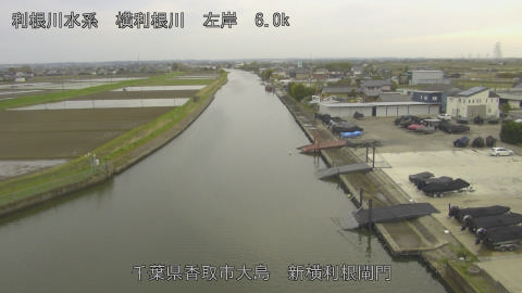 yoko2026040716_image