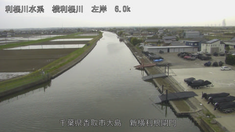 yoko2026040717_image