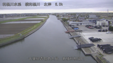 yoko2026040718_image