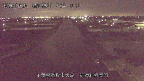 yoko2026040719_image