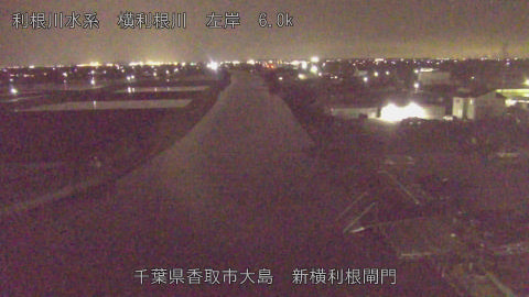 yoko2026040720_image