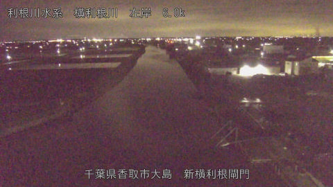 yoko2026040721_image