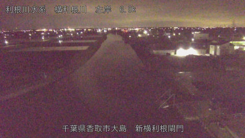 yoko2026040722_image