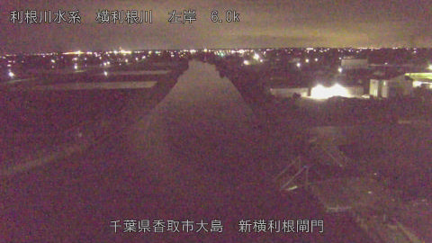 yoko2026040723_image