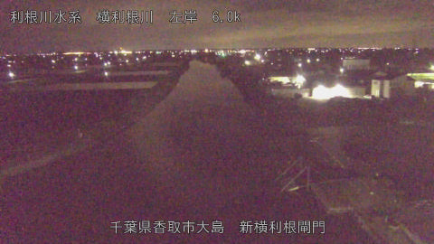 yoko2026040800_image