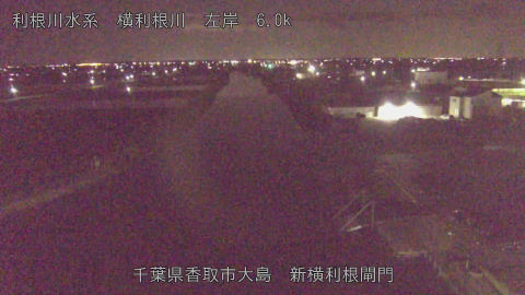 yoko2026040801_image