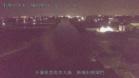 yoko2026040802_image