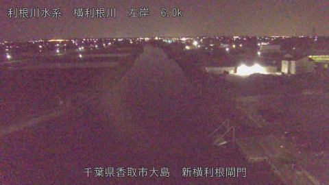 yoko2026040803_image