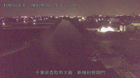 yoko2026040804_image