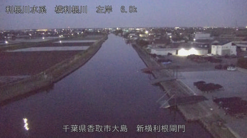 yoko2026040805_image