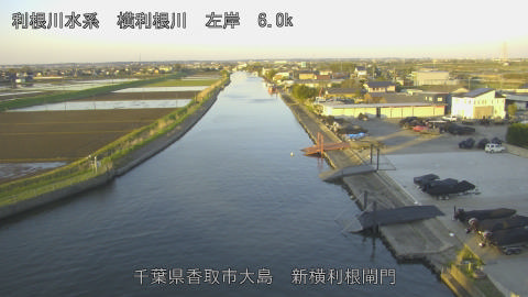 yoko2026040806_image