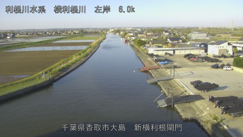 yoko2026040807_image