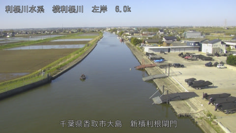 yoko2026040808_image