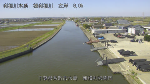 yoko2026040809_image