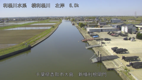 yoko2026040810_image