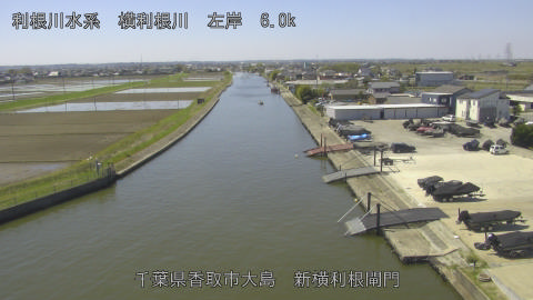 yoko2026040811_image