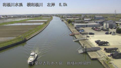 yoko2026040812_image