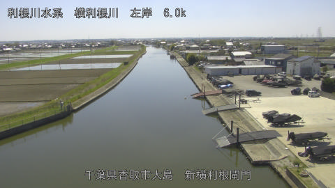 yoko2026040813_image