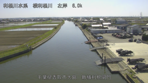 yoko2026040814_image