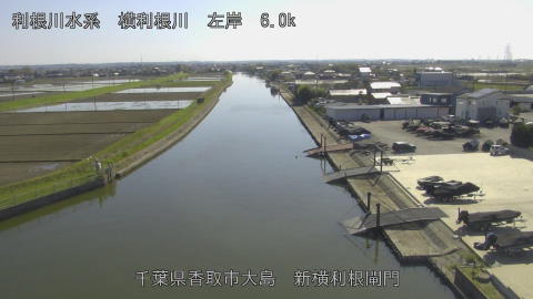 yoko2026040815_image