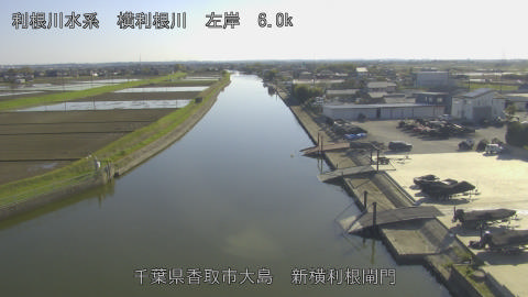 yoko2026040816_image