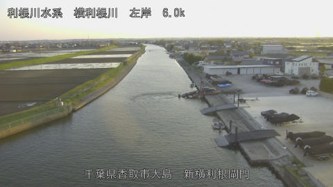 yoko2026040818_image