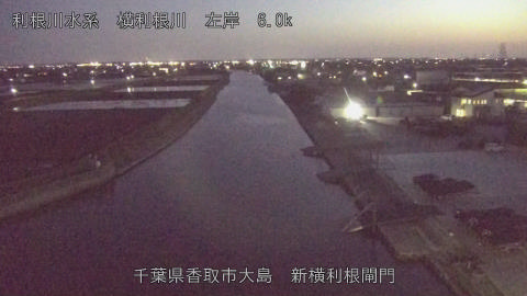 yoko2026040819_image