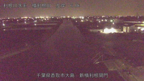 yoko2026040820_image