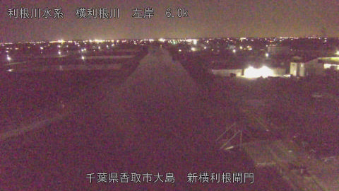 yoko2026040821_image