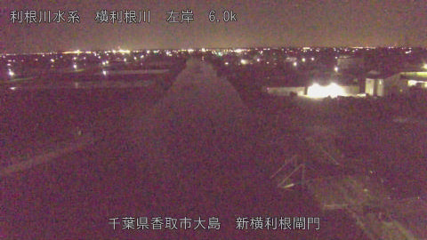 yoko2026040822_image