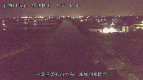 yoko2026040823_image