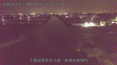 yoko2026040900_image