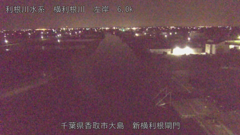 yoko2026040901_image