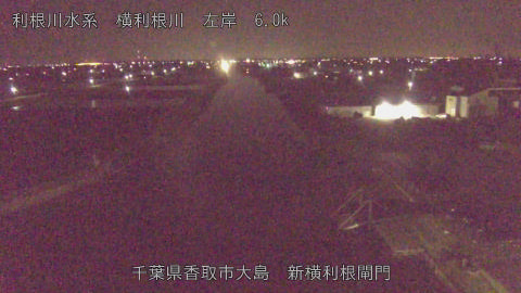 yoko2026040902_image