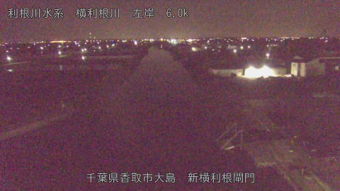 yoko2026040903_image