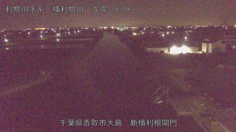 yoko2026040904_image