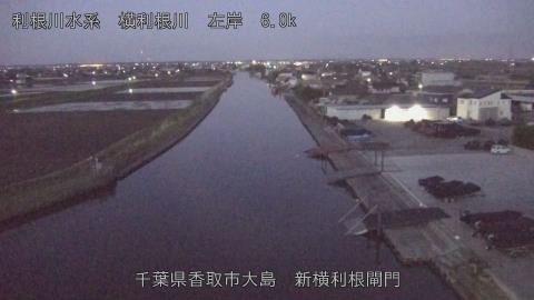 yoko2026040905_image